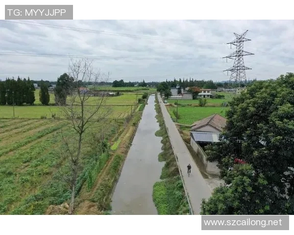 庆州市原与江陵的精彩对决揭示了两地文化与历史的深厚渊源与现代发展潜力 庆州市原与江陵的精彩对决揭示了两地文化与历史的深厚渊源与现代发展潜力