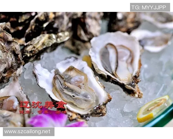 沈阳篮球明星分享烤肉美食之旅探寻舌尖上的篮球激情与美味